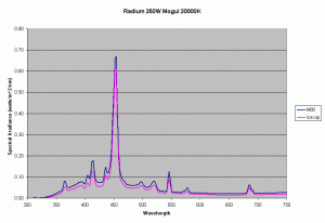 fig12-radium20K.gif