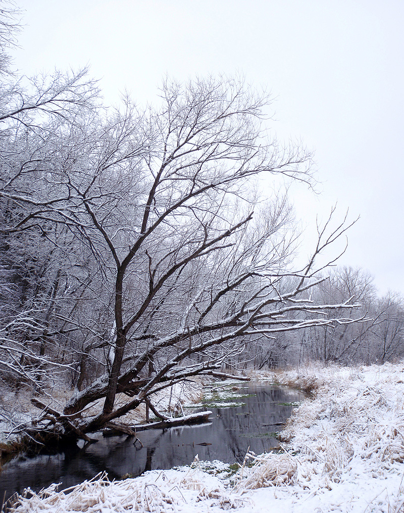 Coldwater Creek, Iowa, 12-11-2011