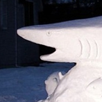 Snow shark