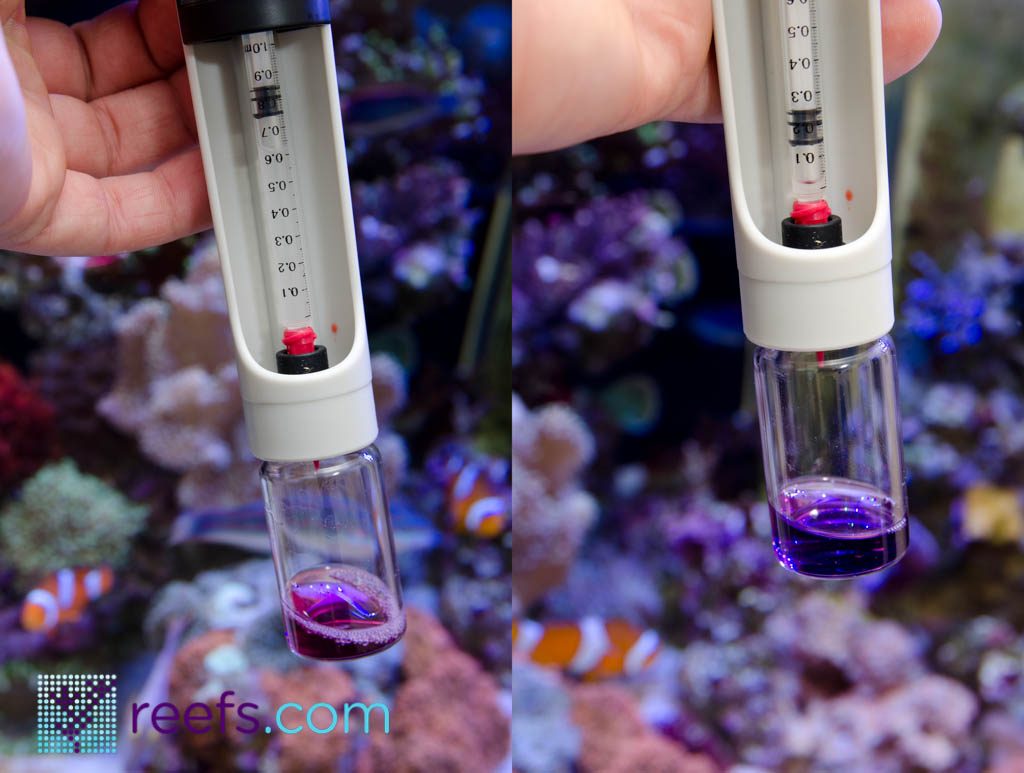 magnesium-test-color-change - reefs