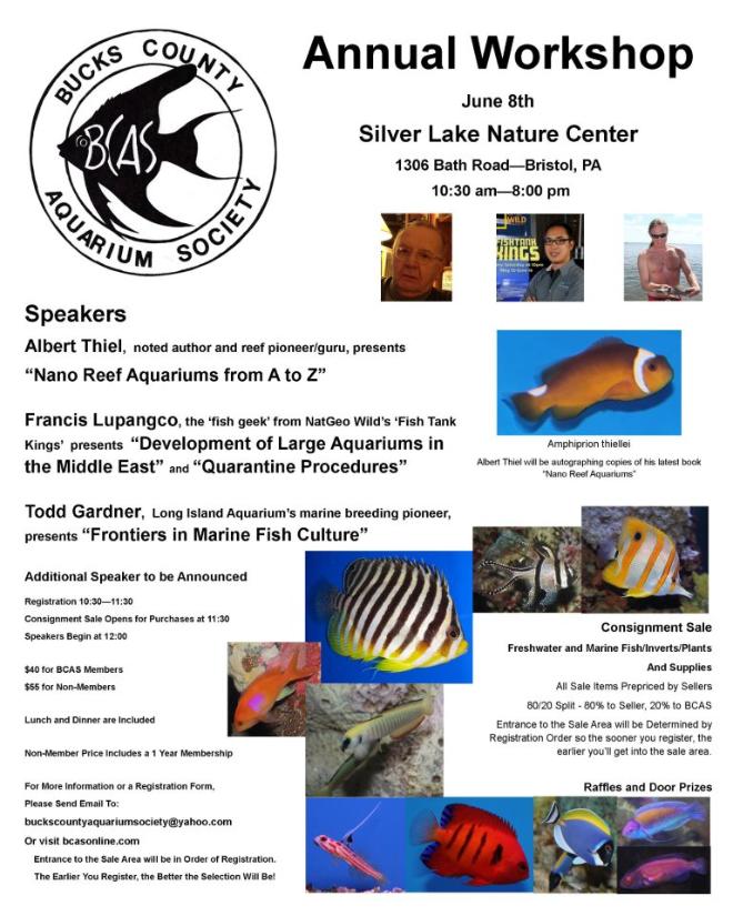 bucks-county-aquarium-society-annual-workshop06082013_jpg_opt660x825o0,0s660x825