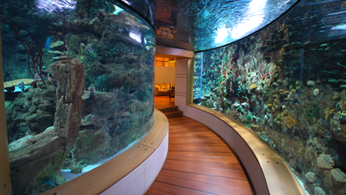 A 150,000 gallon home aquarium. http://isshamaqua.com/projects.html