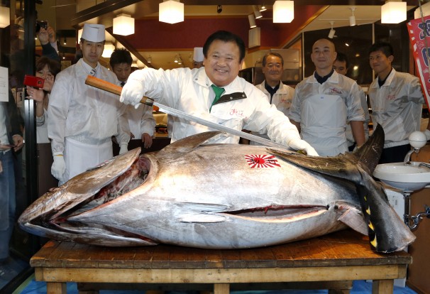 Sushi restaurateur Kiyoshi Kimura poses with 507 lb bluefin tuna he bought in Tokyo, Japan.