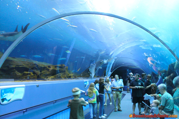 Georgia Aquarium Tunnel