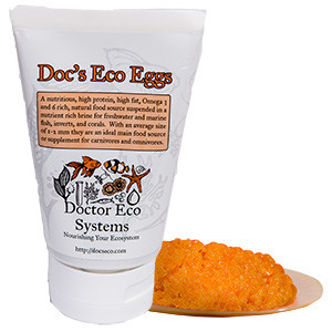 Doc's Eco Egg Pic