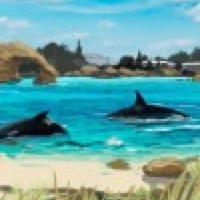 Seaworld’s New Stance on Orcas, Blue World Project