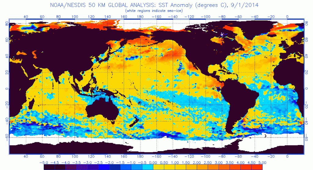 Sea surface temperature anomalies at the time of writing: September 1st, 2014