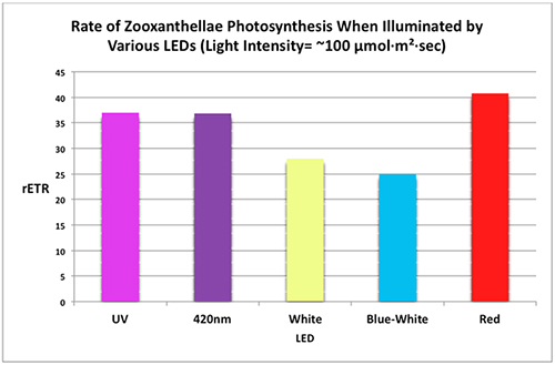 Figure 7. Rates of photosynthesis (rETR, for Relative Electron Transport Rate between Photosystem II and Photosystem I) when equal illumination is provided by variously colored LEDs. Carotenoids (xanthophylls and carotenes) seem to be in sufficient quantities to effectively compete with photopigments (chlorophylls, peridinin) for light energy. For more detail, see Riddle, 2014.