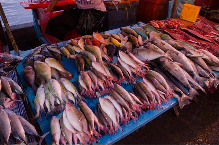 Many species of reef fish commonly kept in reef aquariums laid out for sale and cooking in a Bornean street market. One person's pet is another person's meal. (Photo by Rich Ross.)