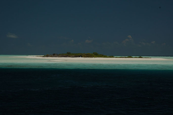 This small atoll in the Maldives was entirely created from coral and shows the division between the fore reef and the slow change in structure as you head landwards to the shallow lagoonal area.