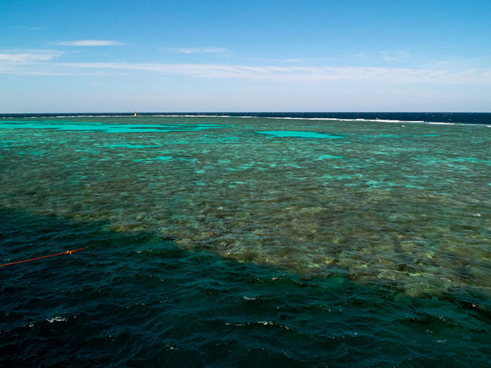 This reef in the Red Sea is useful to illustrate reef structure. Existing within a reef/lagoon complex within relatively shallow waters this is an isolated reef not tied to any particular shoreline and thus without the fringing reef structure. A central lagoon of eroded sand is forming in the centre of the structure.
