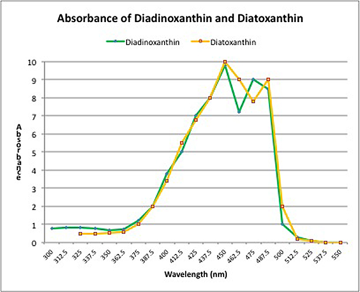 Figure 2. Absorbances of protective xanthophylls Diadinoxanthin and Diatoxanthin.
