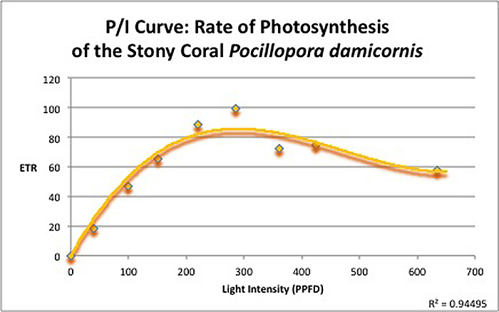 Figure 4. This Photosynthesis/Irradiance Curve shows this shallow water Pocillopora requires only ~200 µmol photons·m²·sec to be at a maximum rate of photosynthesis.