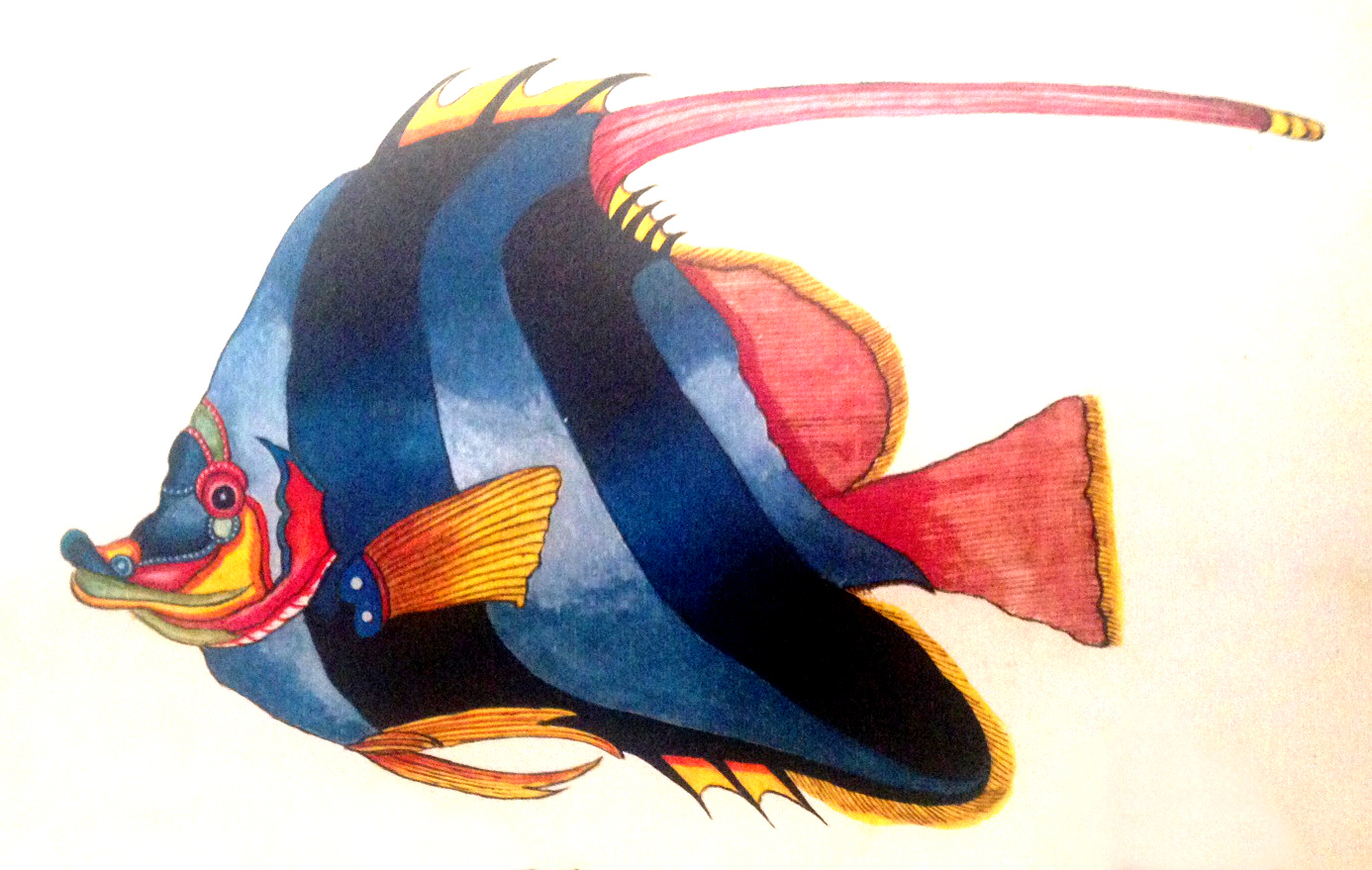 A rather respectable attempt at a Schooling Bannerfish.