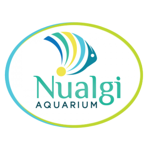 nualgi-aquarium-logo