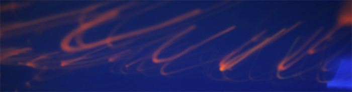 Figure 6. The Gyre pump produced an oscillating flow during this test. Fluorescent particles trace the pattern of water motion in this time exposure.