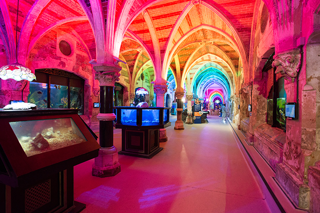 Recreations of older aquaria in between the columns of the main arcade