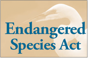 endangered-species-act