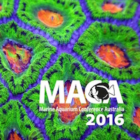 MACA returns to Cairns, Australia, for a bigger and better, year end conference!