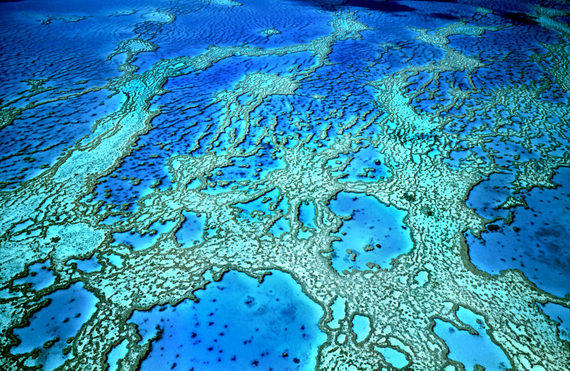 Hardy Reef viewed from the air. Whitsunday Group, Great Barrier Reef, Queensland, Australia.