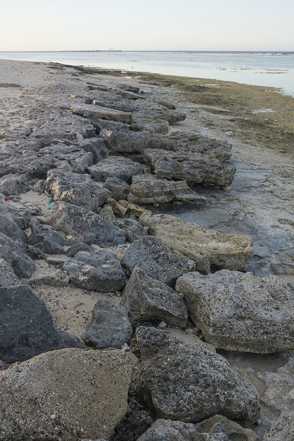A 'fossil' beach, now rapidly eroding.