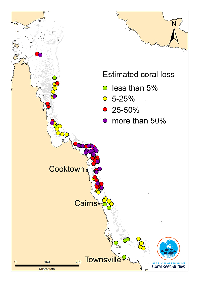 Map of mortality estimates on coral reefs along 1100km of the Great Barrier Reef.