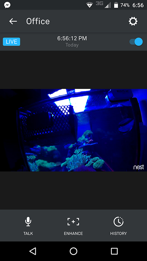 Screenshot of the authors phone showing nest cam view of his office reef aquarium. Photo by Austin Lefevre.