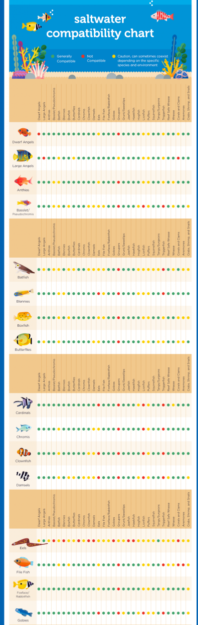 saltwater-fish-compatibility-chart-reefs