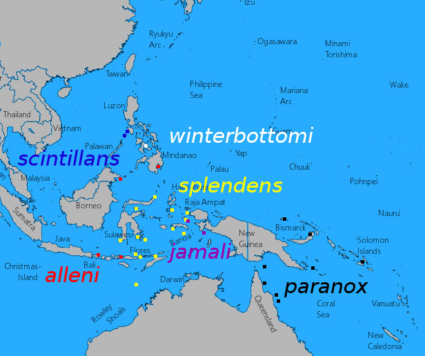 Distribution of the Manonichthys splendens species group.