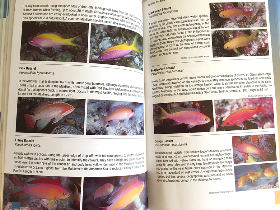 Fishes of the Maldives Rudie H. Kuiter