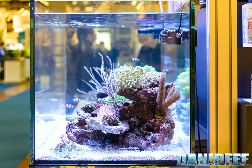 oceanlife reef tank