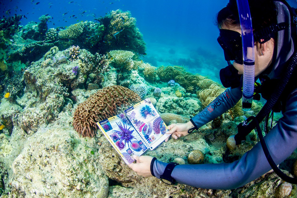 reef finder, BYO guides