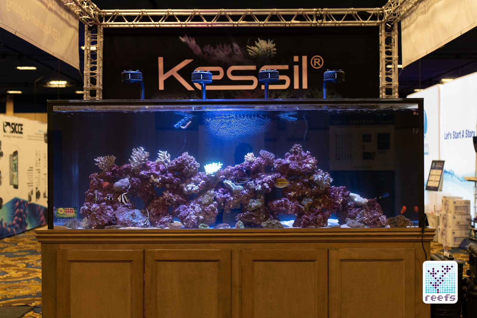 Kessil a360x light