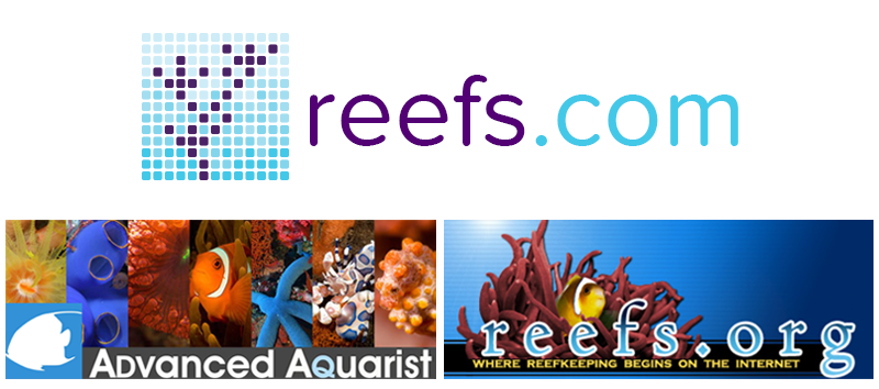 Big News! Reefs.com to merge with Advanced Aquarist/Reefs.org