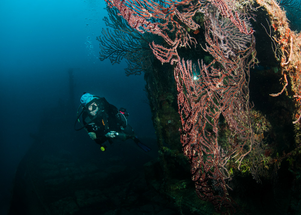 Monday Archives: A Spectacular Caribbean Wreck