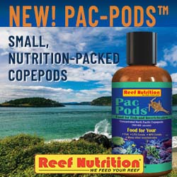 Reef Nutrition – 250