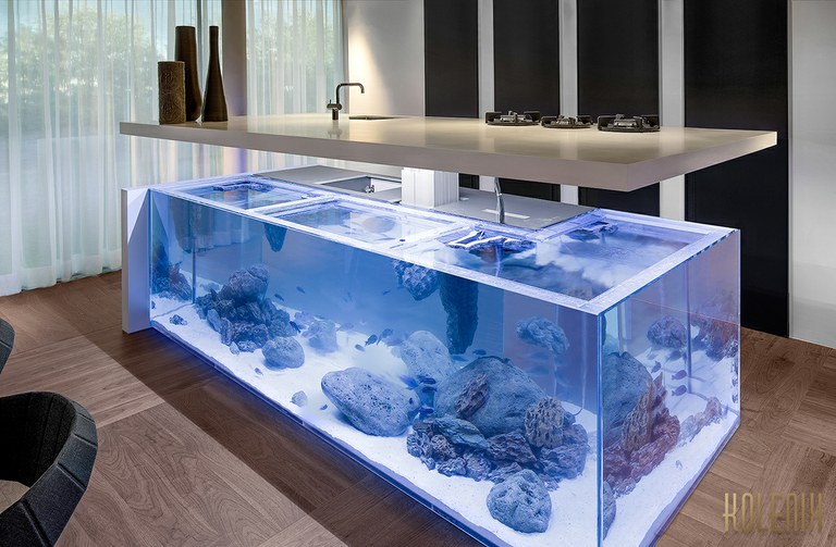 The ultimate kitchen aquarium?  Coffee table aquariums have nothing on this.
