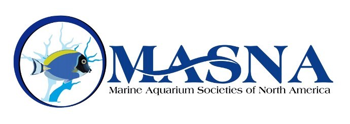 2013-2014 MASNA Student Scholarships Announced