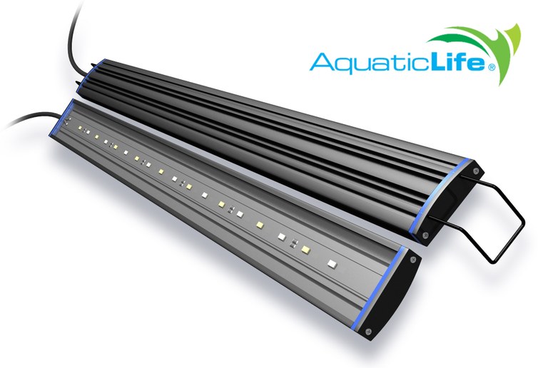 Aquatic Life's affordable Reno LED lights