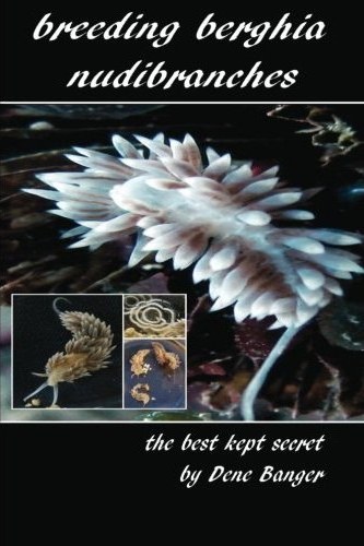 Breeding Berghia Nudibranches - The Best Kept Secret by Dene Banger now available