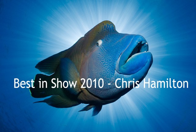 Cairns Underwater Film Festival hosts 2011 Photography Contest