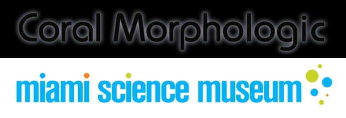 Coral Morphologic teams with Miami Science Museum on multimedia art-science project