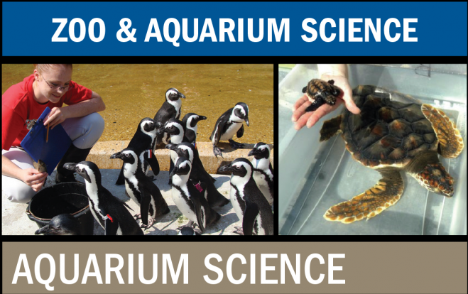Do you want a degree in Aquarium Science?