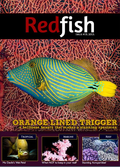 Download your free copy of Redfish Issue #19