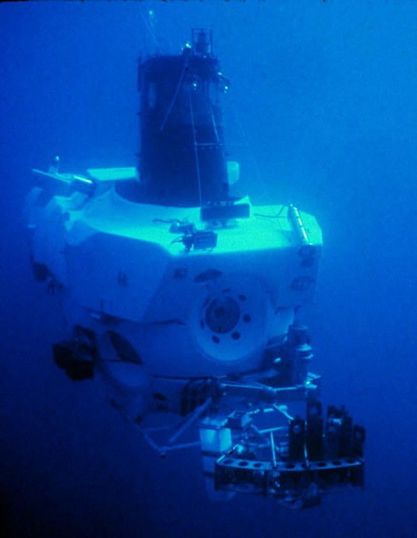 Even deep sea vehicles can transfer non-native species to new sites