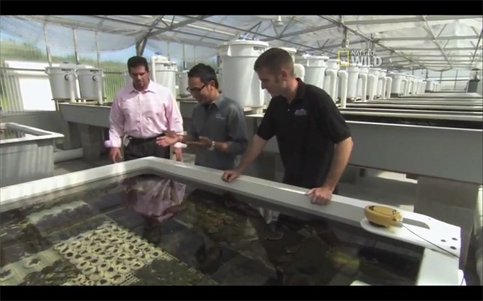Exclusive video: Fish Tank Kings visits ORA