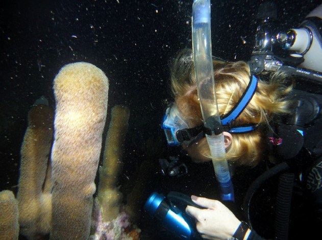 First documented male and female pillar coral spawning in Florida