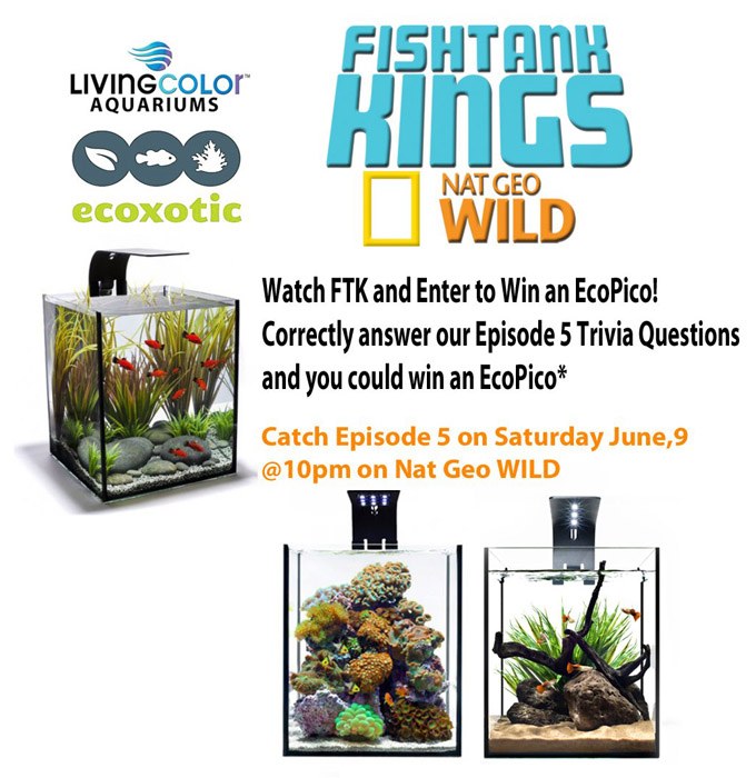 Fish Tank Kings and Ecoxotic Giveaway