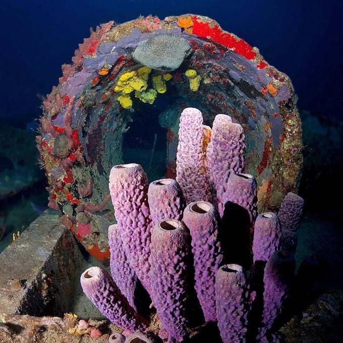 Florida to build 10 new artificial reefs