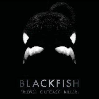 Former Seaworld killer whale trainer responds to movie "Blackfish"